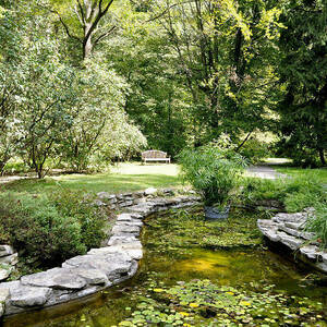 Fernwood Botanical Garden Frog Pond With Bench Niles Michigan Us Sally Rockefeller